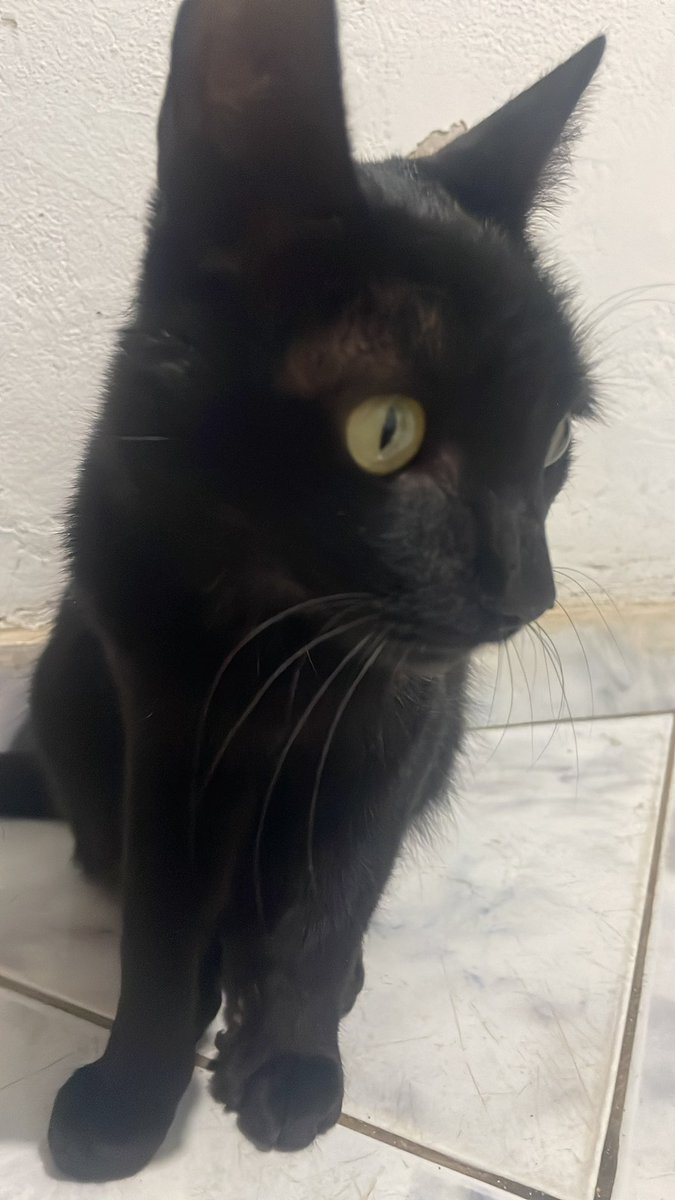 kiefzto's tweet photo. não sei viver sem vocês https://t.co/XNe8WtmUGB