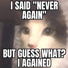 cutestuffokily's tweet photo. https://t.co/ptKVo02Xdd