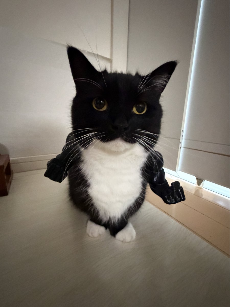 unicouniuni3's tweet photo. Really? You’re the strongest??? https://t.co/nZzVahkqJd