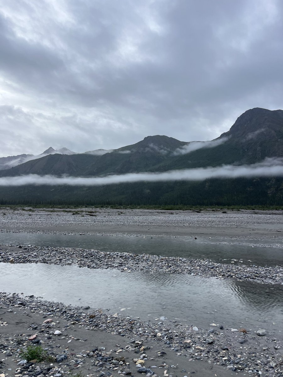 NationalParkEx1's tweet photo. Misty mountains @GatesArcticNPS https://t.co/4LstmvewEN