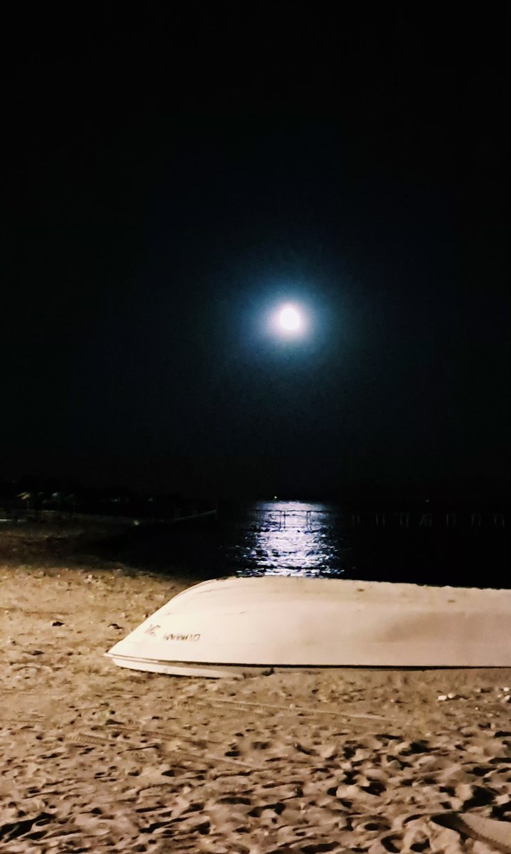 ozke25's tweet photo. "Biraz deniz, biraz ay, biraz da kendime kaldım." 🌊✨ https://t.co/pcHPyrQRDT