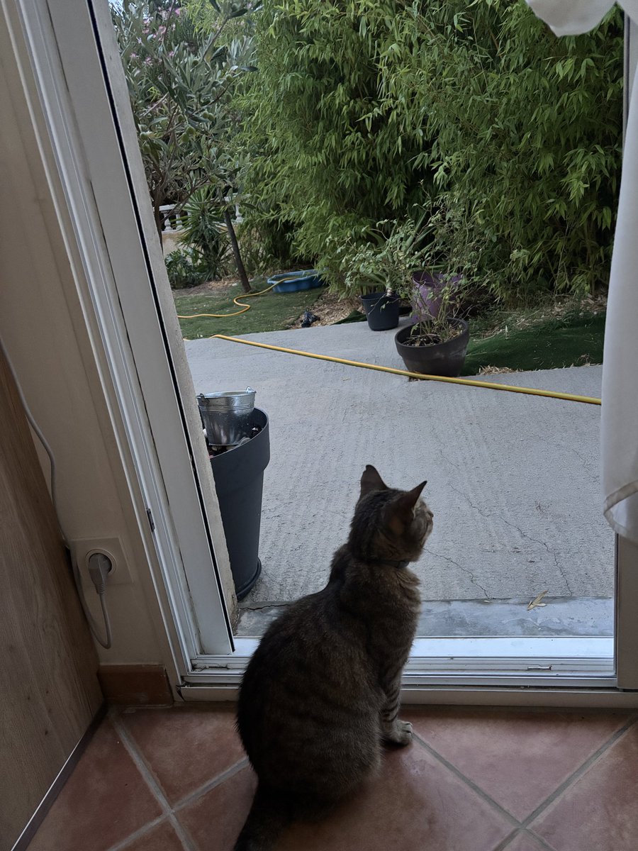 ness2kitty's tweet photo. #pensif https://t.co/S1WW7L2u1T