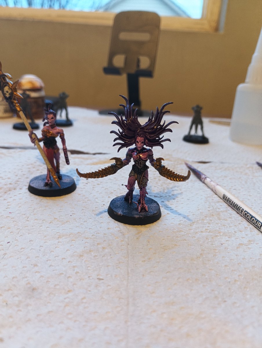 ChipOuja's tweet photo. Well, here they are, two of my beautiful daemonettes~

What do y'all think?
(8 left) https://t.co/LBKdQkby3J