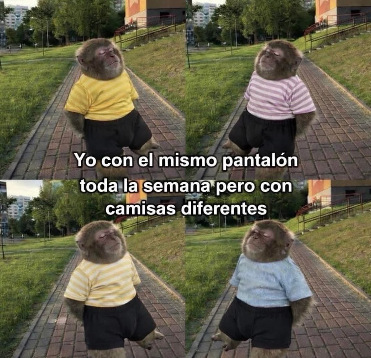 dilocondibujos_'s tweet photo. Soy https://t.co/M4IxspKDni
