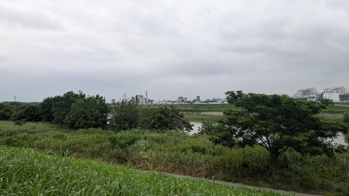 Kz1R43's tweet photo. 本日の朝練　8kmほど
#ロードバイク https://t.co/UN4JNGAzXZ