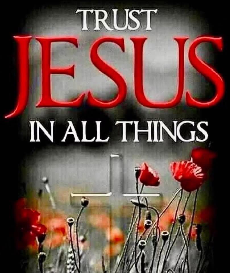 Jo-Ann✝️❤️ tweet media