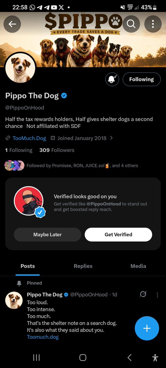 fwplacid's tweet photo. @dndlyxx @PippoOnHood 3njYSLd68mouoxZqGj6QdQnU8ZfF4ufmV9BnZHV49kWD https://t.co/J0MlQfP864