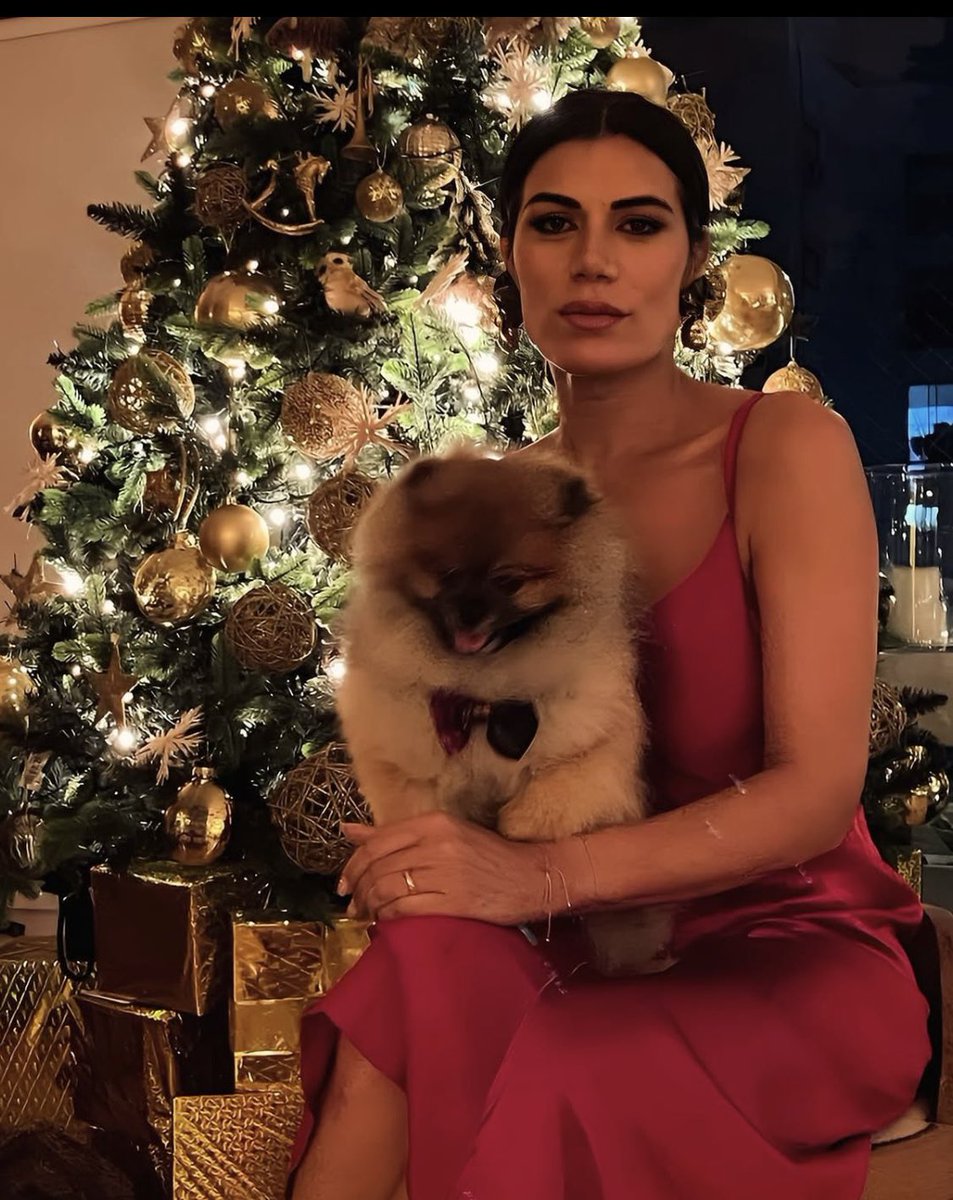 KarenReichardt1's tweet photo. @Flordelav contanos de tu Pomeranian. Te lo regalaron ? Lo compraste ? De donde crees que salen ????  Empecemos a mostrar los famosos hipócritas q creen q las razas q tienen en sus casas salieron de un repollo ! https://t.co/d7RyEd4e28