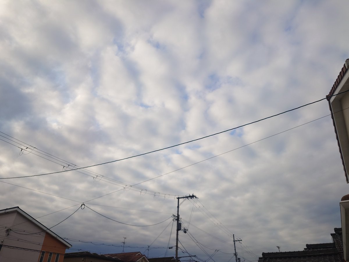 HHitoshi7's tweet photo. おはよございます🍑
くもり☁のち晴れ☀️
降水確率10%　
最高気温36℃
今日も1日宜しくお願いします🙇⤵️ https://t.co/pzE66MtaXz