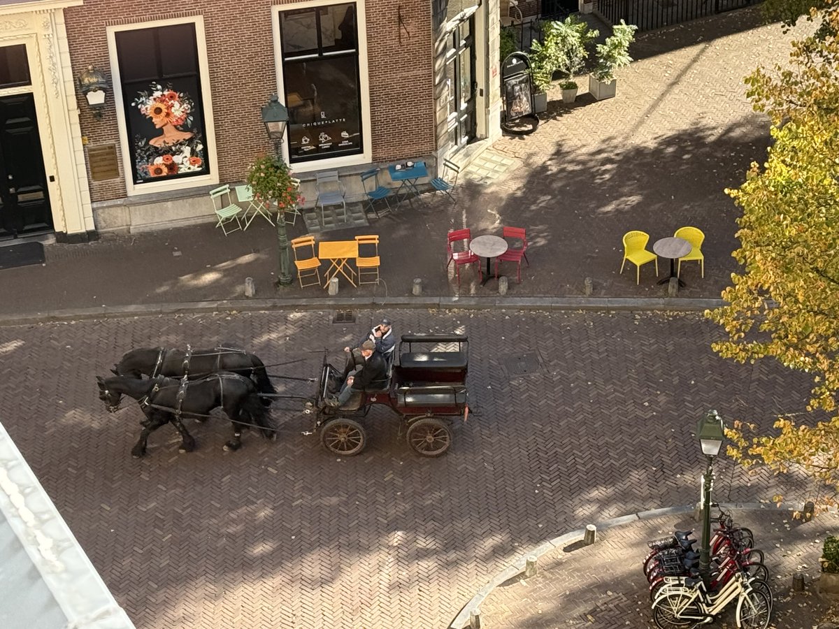 jchrislynch's tweet photo. #iphaiku
hague:
the hague residents
ride horses and lock-up crooks
who commit war crimes
https://t.co/lJ91aLNmRd https://t.co/SHEKVm1qL3