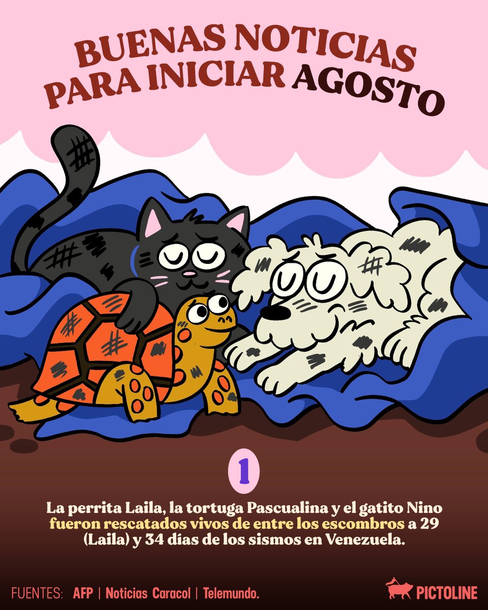 pictoline's tweet photo. Un descansito del doomscroll y apocalipsis diario 🫷

#sociedad #pictoline https://t.co/8n3mDWotCJ