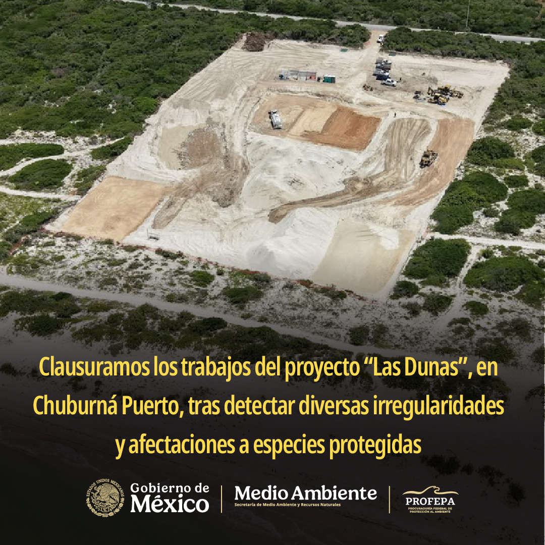 PROFEPA_Mx's tweet photo. 📍Yucatán | Derivado de las visitas de inspección, se determinó que existen hechos que constituyen infracciones a la Ley General de Desarrollo Forestal Sustentable y, en consecuencia, se impuso como medida de seguridad la clausura temporal total de las obras y se inició el procedimiento administrativo correspondiente.

👉🏼 Más detalles: https://t.co/KIjFkf7edk