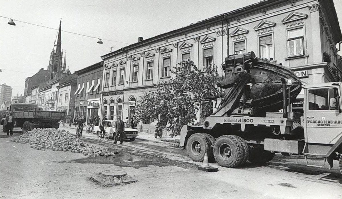 pruclin's tweet photo. 1979-80 su se drva u centrima gradova presadjivala, gradovi imali i opremu za to. 

2026 srbija nakazna septicka jama, samo za zlikovce i alave govnare. https://t.co/8J59B3XgLJ