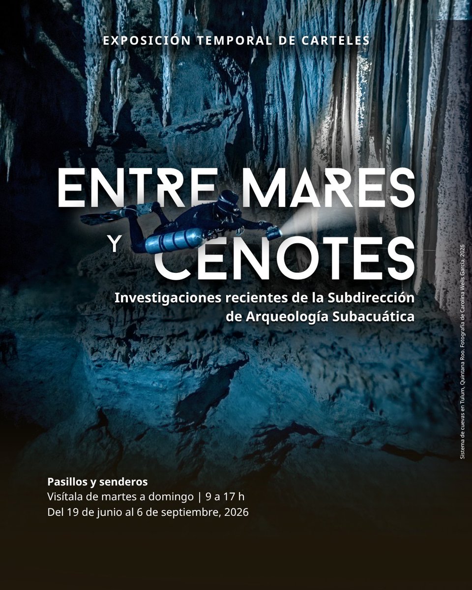 INAHmx's tweet photo. #NoTePierdas la exposición temporal de carteles:

Entre mares y cenotes:
Investigaciones recientes de la Subdirección de Arqueología Subacuática 🌊

📍 Pasillos y senderos del Museo Regional de la Costa Oriental

🗓️ Martes a domingo, 9 a 17 h.
Hasta el 5 de septiembre

#MURECO https://t.co/bUjSzK8Kpv