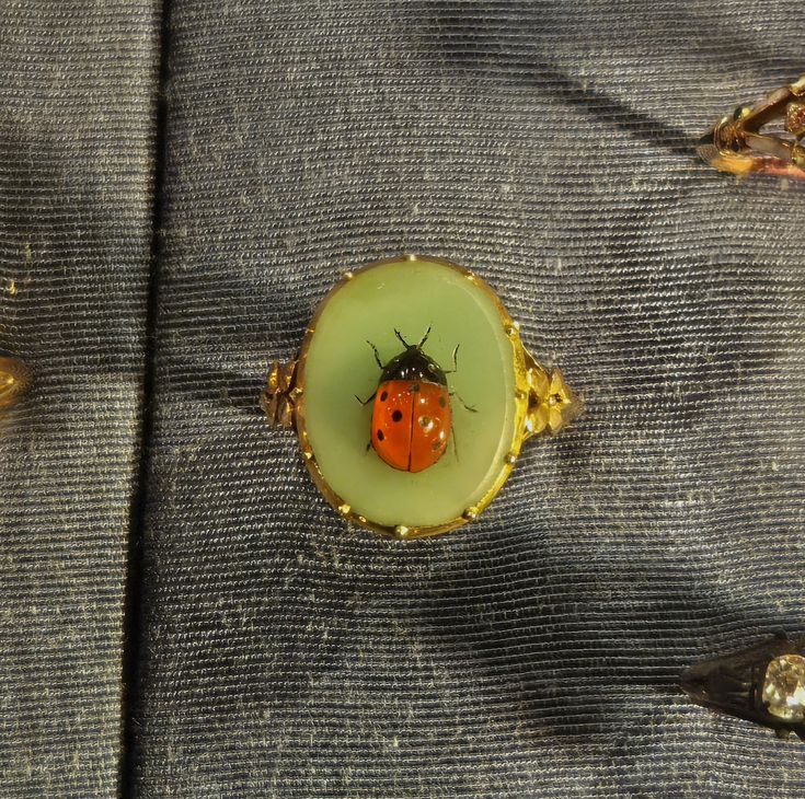 greenvibe's tweet photo. ladybug ring from the danish crown jewels https://t.co/dM2Vzl3KCr
