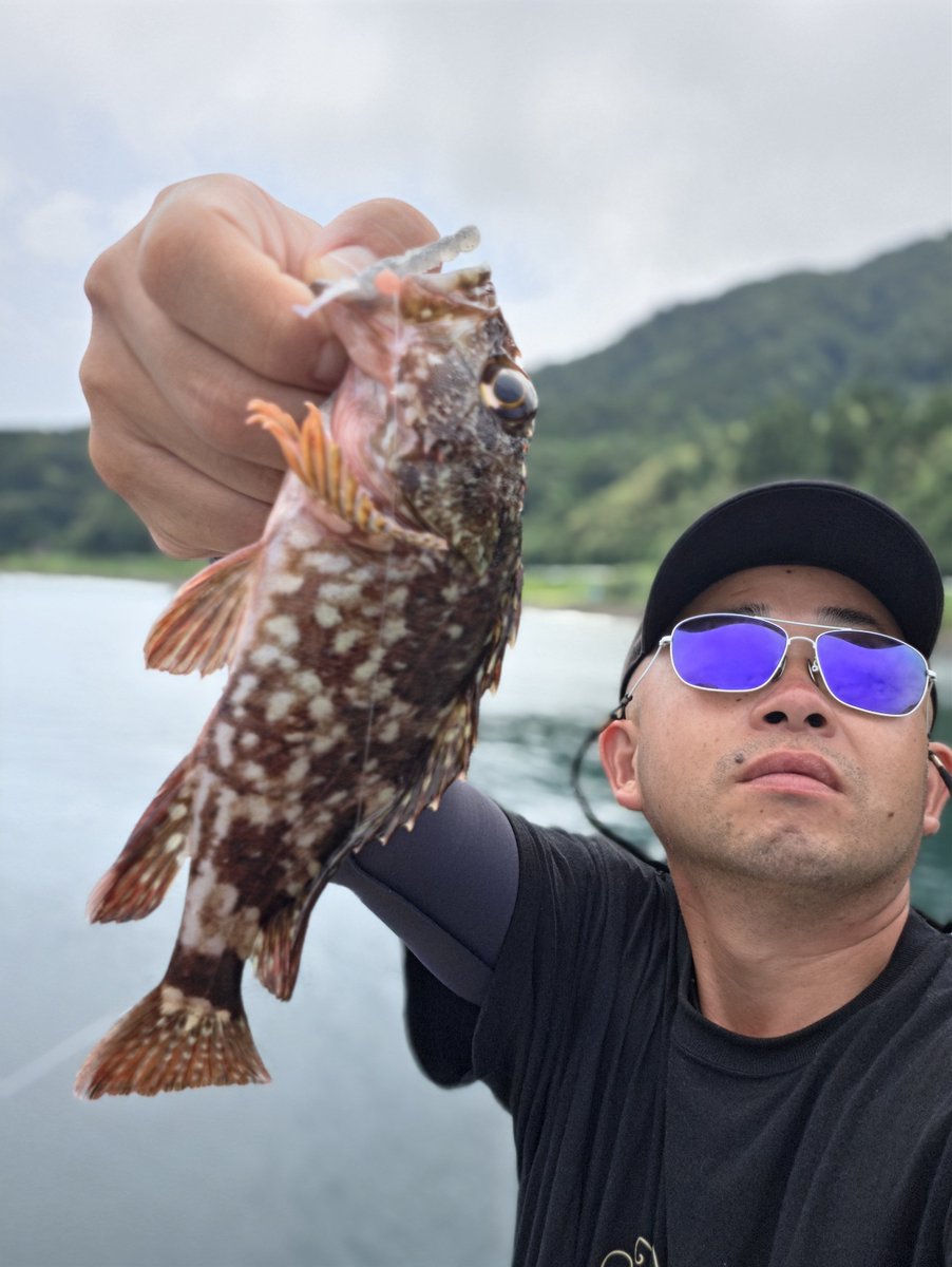 ozaki_garyu's tweet photo. ガザミンでカサゴ2、キジハタ1
スーパーライトショアジギングでチビワカシ
加茂湖調査後、乗船便までのラスト2時間半は近場で!
#PR #136glass #136偏光サングラス #TALI #ガザミン
#FIDELITY #Voodoo68 #shooter58
#ガンガンジグマイクロブレード 7g #サバイバルシンカー 7g #佐渡 https://t.co/8kZJnM8ViW