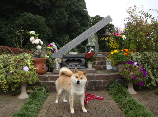 kencoinonsol's tweet photo. Kabuso paying his respects to His Forefather at his Grave

solana:AVkQ25v9wcQFpDJXQKAyPxuS79eCnEZgeL6xhi2spump https://t.co/WU20qIXCJw