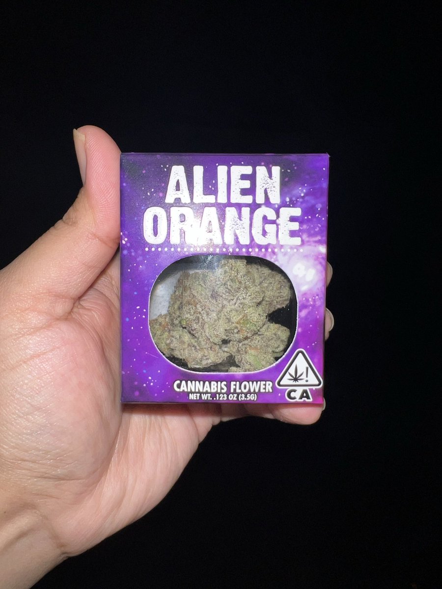 rollsforyou_'s tweet photo. @decibelgardens Alien Orange https://t.co/axWIiwoJRK