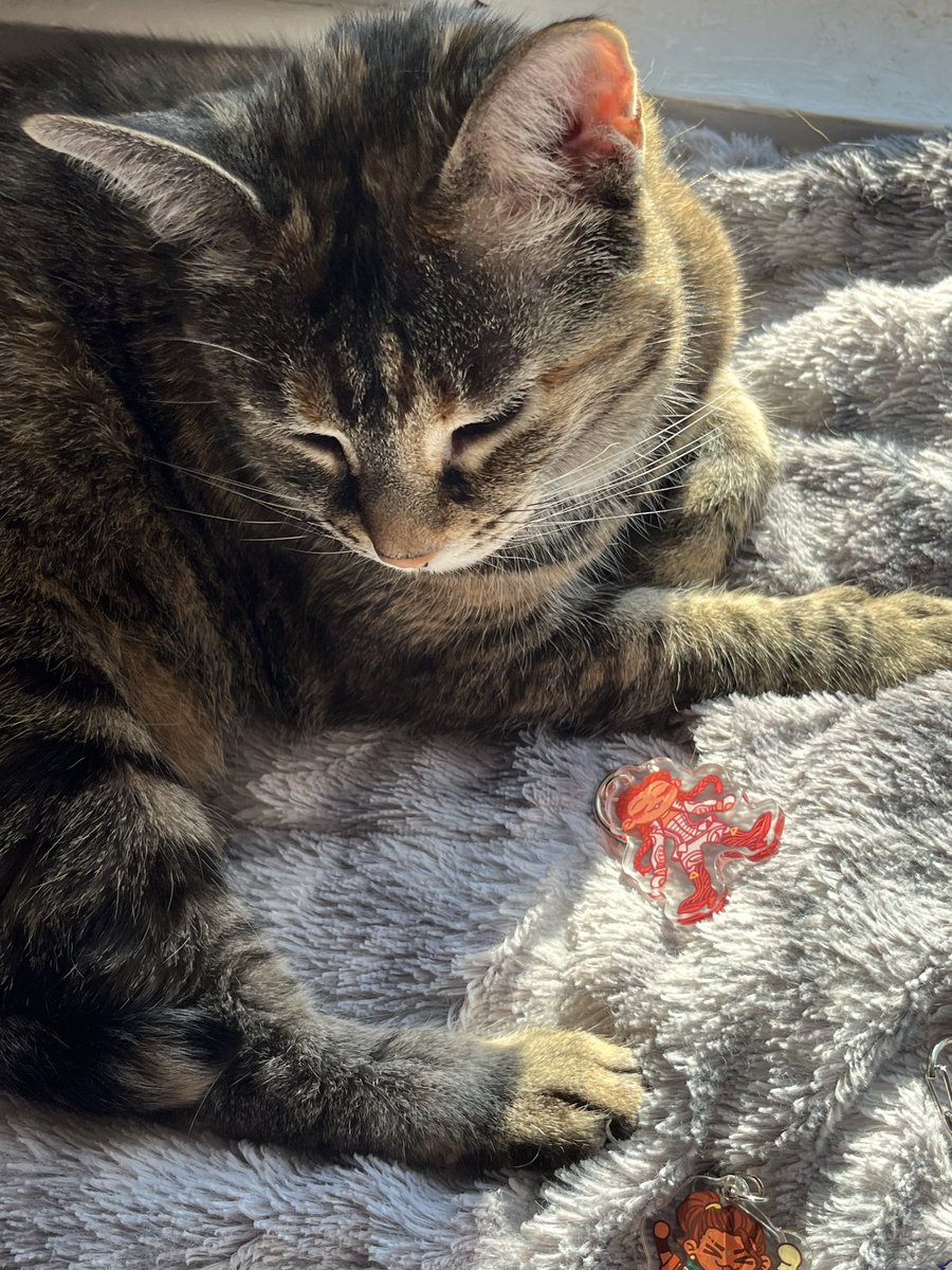 EeffReff's tweet photo. The girlies have arrived!!! Calypso has also apparently decided Loba is her favorite. Shout out @ryonello they are gorgeous!! https://t.co/zCWl3PyU27