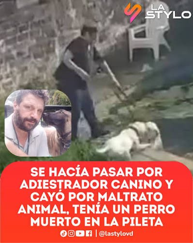 veroloren's tweet photo. Hace poco acá en pilar tuvimos un caso de un sorete que tenía un pensionados y adiestraba perros , pero los asesinaba ahogándolos o colgándolos .
La pena es mínima , alguien escuchó en estas horas por TV a los fundamentalistas pedir más penas? Que se regulen a los pensionados o estas prácticas ? No … de esto no se habla