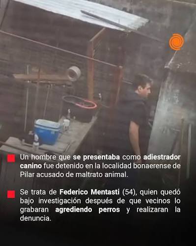 veroloren's tweet photo. Hace poco acá en pilar tuvimos un caso de un sorete que tenía un pensionados y adiestraba perros , pero los asesinaba ahogándolos o colgándolos .
La pena es mínima , alguien escuchó en estas horas por TV a los fundamentalistas pedir más penas? Que se regulen a los pensionados o estas prácticas ? No … de esto no se habla