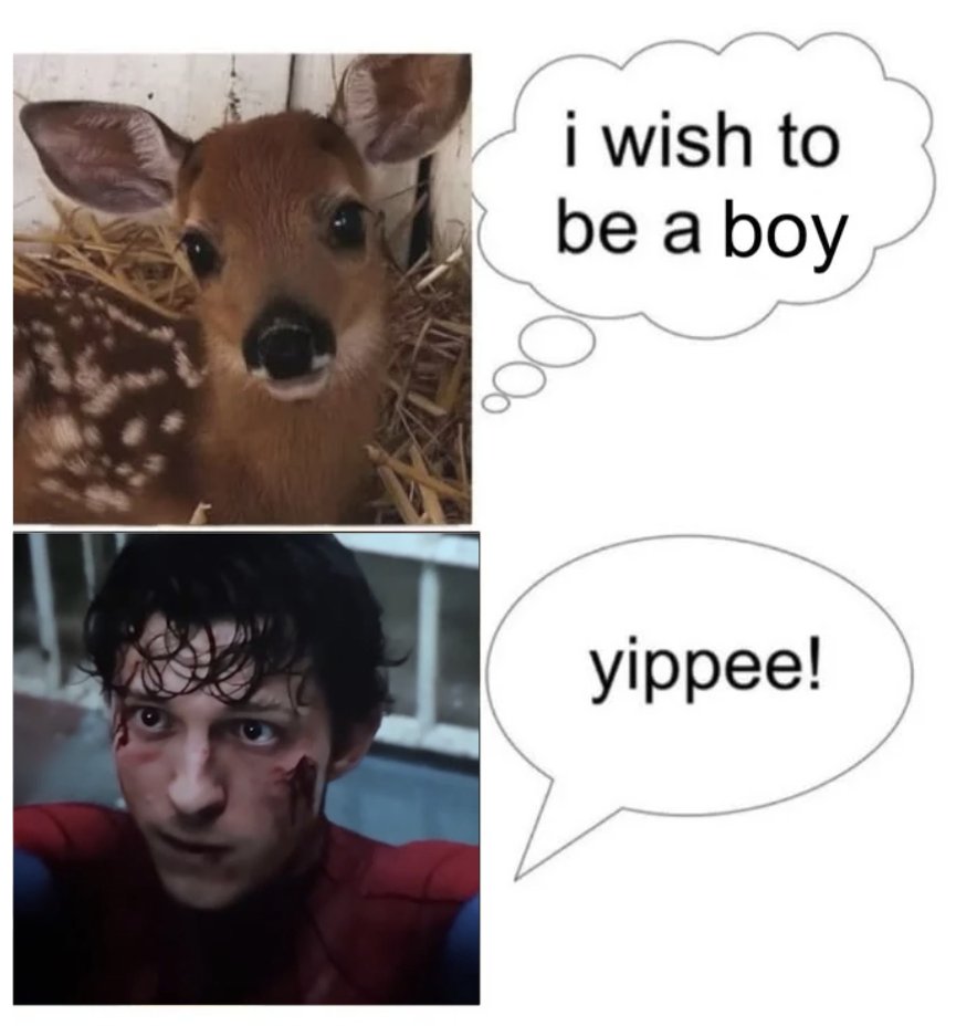 kittensbyler's tweet photo. https://t.co/eeDYgFzDUd