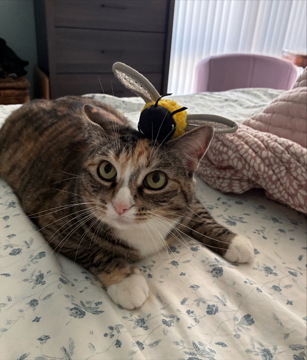 cartbog's tweet photo. i need her to live forever https://t.co/4ThuKGgYts