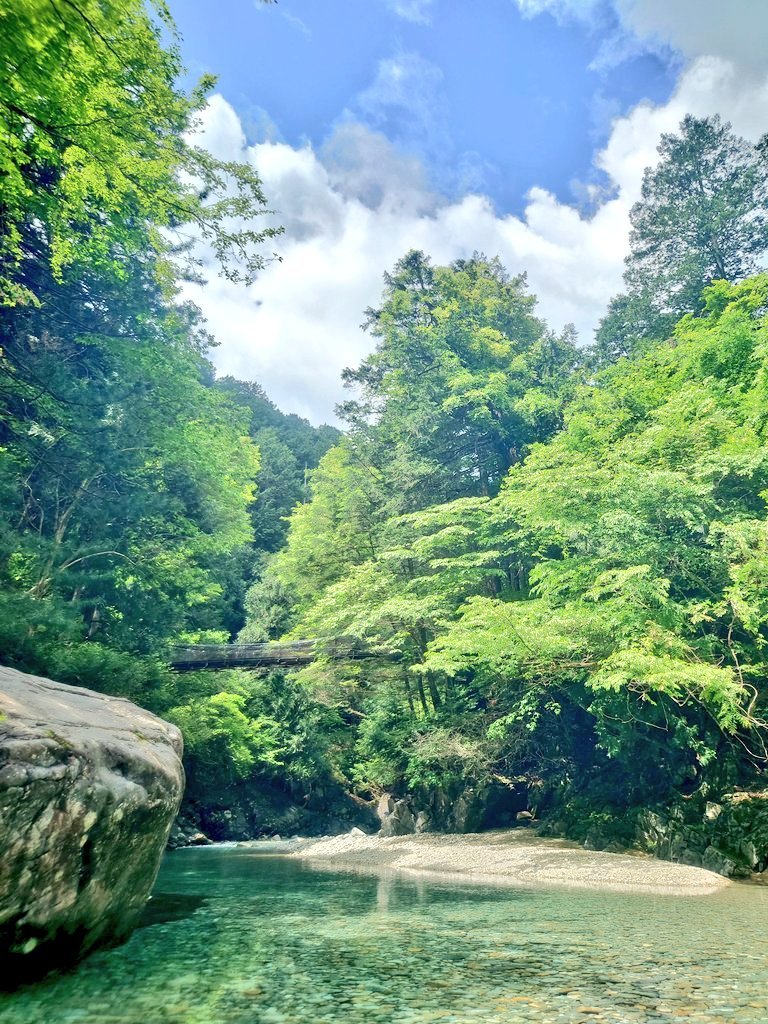 onsenpeople's tweet photo. 【8月4日】
温泉人間が1番泊まりたい宿
♨️長野・あてら温泉 阿寺荘♨️
日本遺産に認定されている阿寺渓谷、
圧倒的な透明度から「阿寺ブルー」と言われています✨️
標高約900メートルの涼しい大自然を散歩し、夜は素朴な美味しい料理を食べ温泉に入り眠りに就く⋯素敵ですわ♨️😇
#温泉カレンダー https://t.co/PF3AsxG9Wo