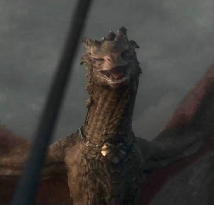 KachySZN's tweet photo. Can we talk about how the only one in that whole group of dangerous dragons who immediately chose violence was the chunky little menace, Syrax?

Not the two battle-hardened dragons famous for their tempers.

No.

Syrax. The one who supposedly wouldn’t even fly unless the weather was nice, and whose food had to be rationed because she was getting a little too well-fed.￼