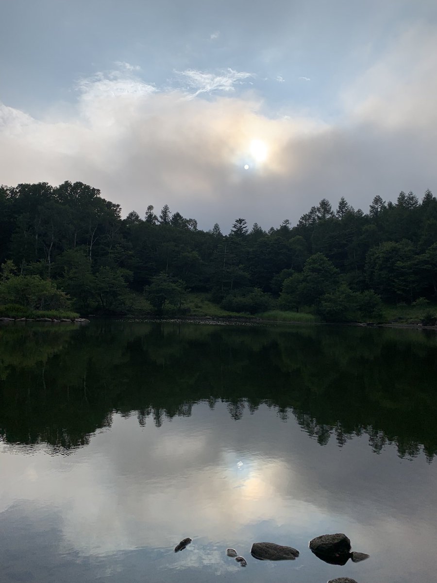 peachmouse2's tweet photo. 八ヶ岳

美鈴池の鏡景色 https://t.co/QogMjO7zyJ