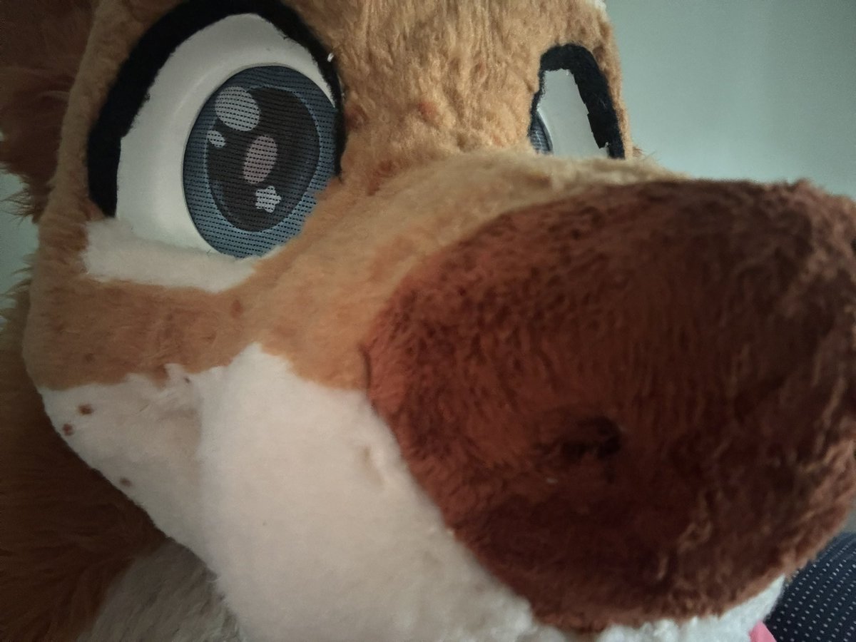 Bearlyabear_'s tweet photo. Roblox oc fursuit just dropped,,, he’s gunna flex his robux at FD,,, will you spawcamp him or no https://t.co/HEzfgmPoB3