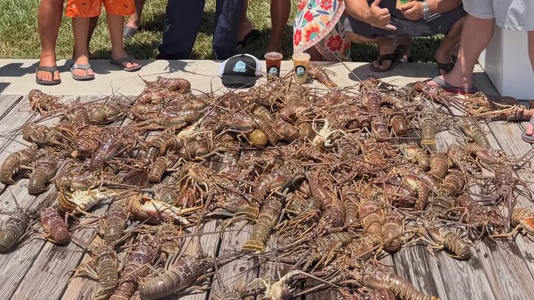 lapidkey's tweet photo. 🦞 Mini Lobster Season is over... but the cleanup is just beginning. Vacay rentals are often left with sand, spills, trash &amp; plenty of extra work before the next guests arrive. If ur property is in Mrthn, Duck Key, KCB, or Grassy Key, we're ready for the aftermath.📞 305-395-0588 https://t.co/747Aao4sMn