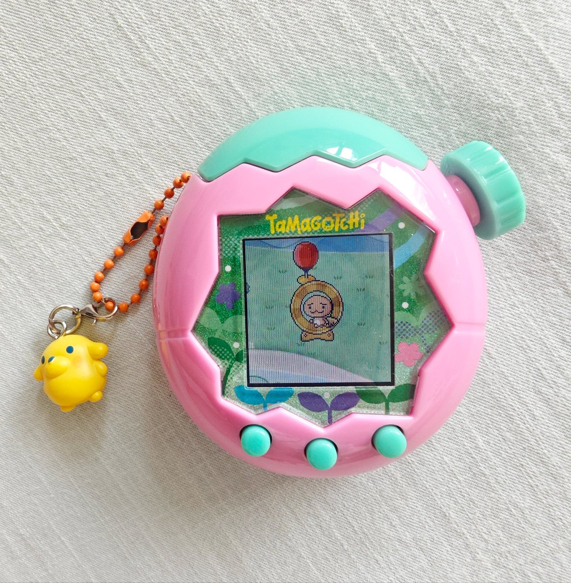 Canigula_Jamie's tweet photo. They grow up so fast *sniff sniff* (in the span of 24 hours)
#singledad #tamagotchi https://t.co/SyzhpRPwTT