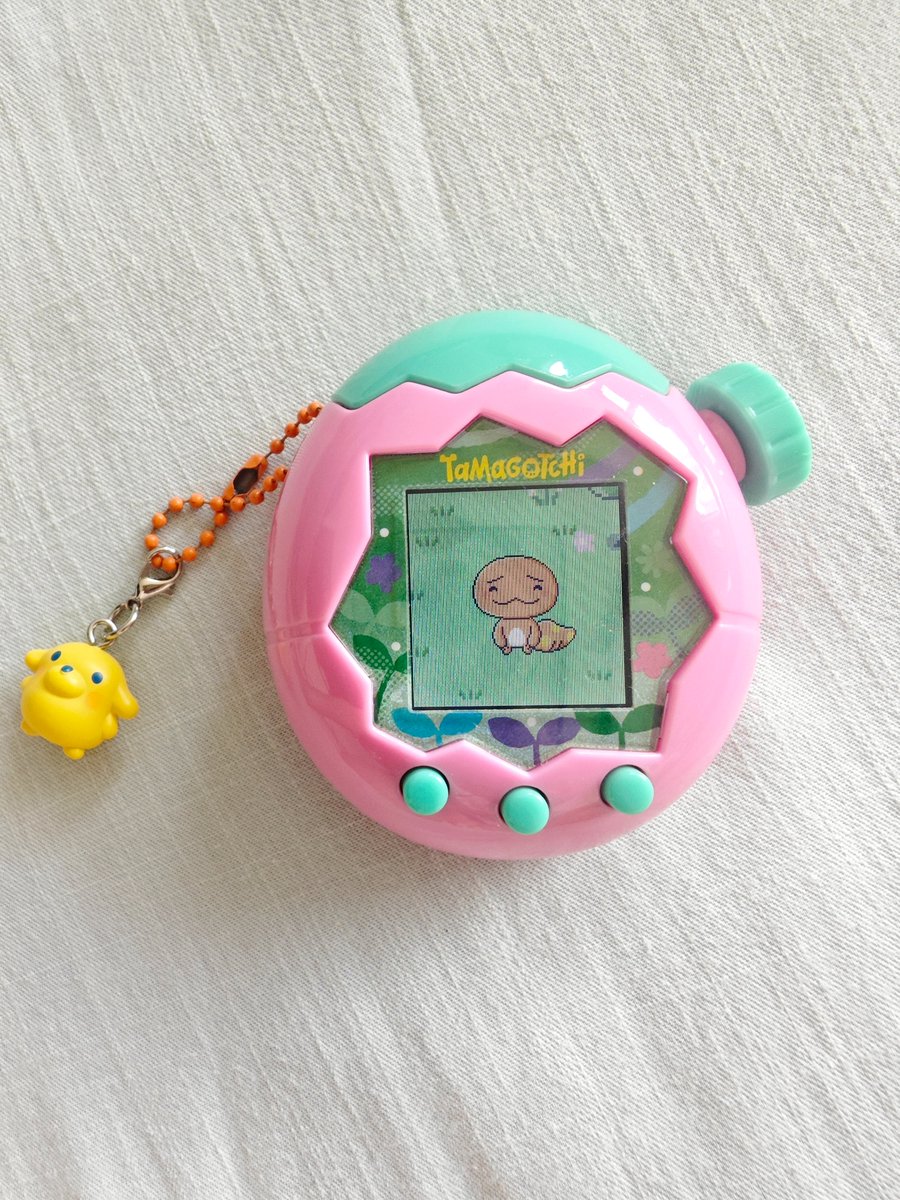 Canigula_Jamie's tweet photo. They grow up so fast *sniff sniff* (in the span of 24 hours)
#singledad #tamagotchi https://t.co/SyzhpRPwTT