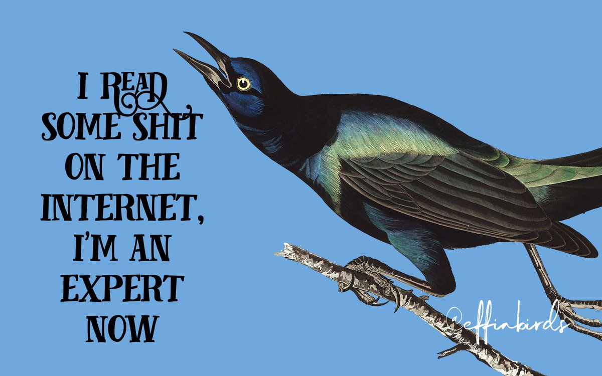 EffinBirds's tweet photo. https://t.co/9iP7imnWap