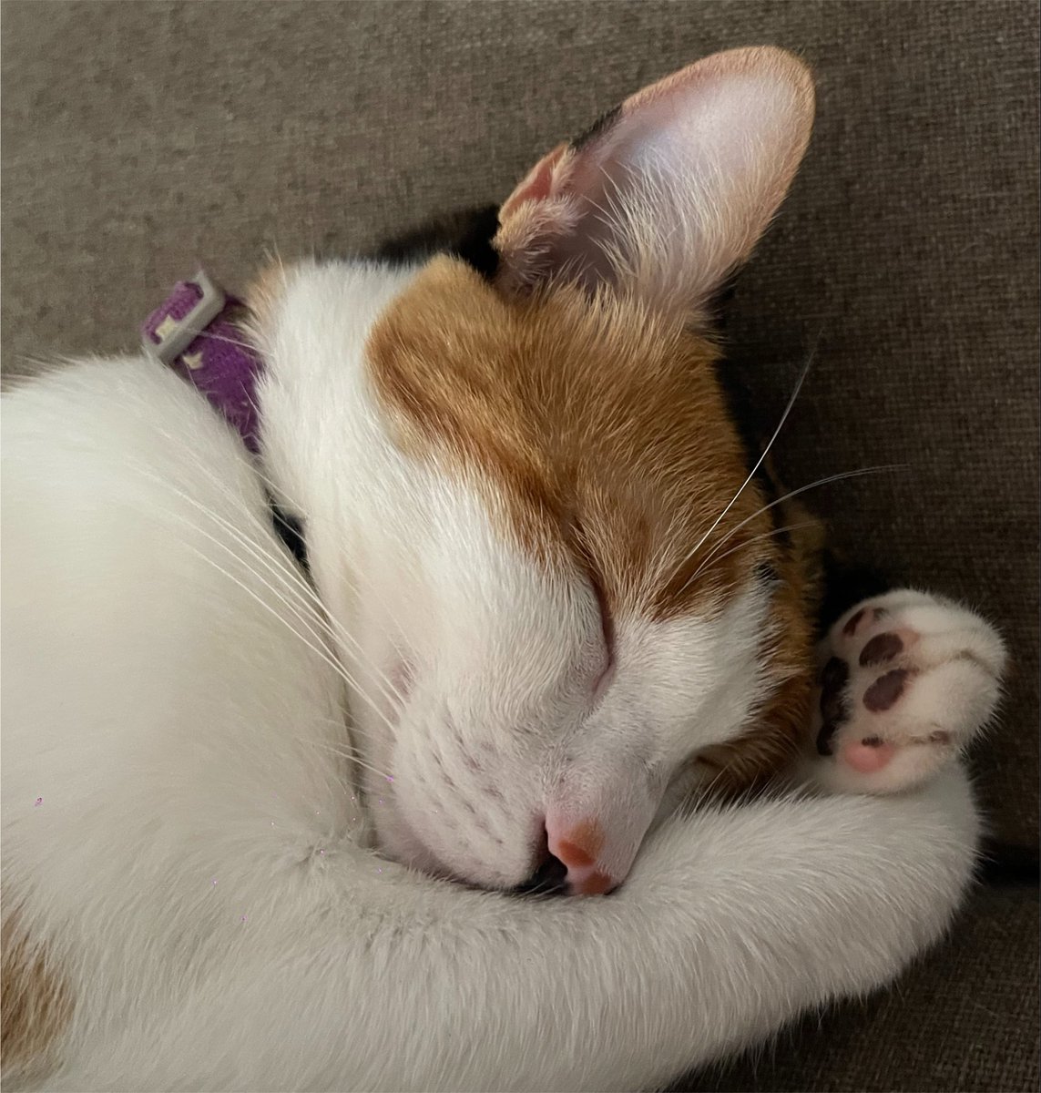 VerduGo0A's tweet photo. Te amo cosita bella https://t.co/Mg36S28yYD