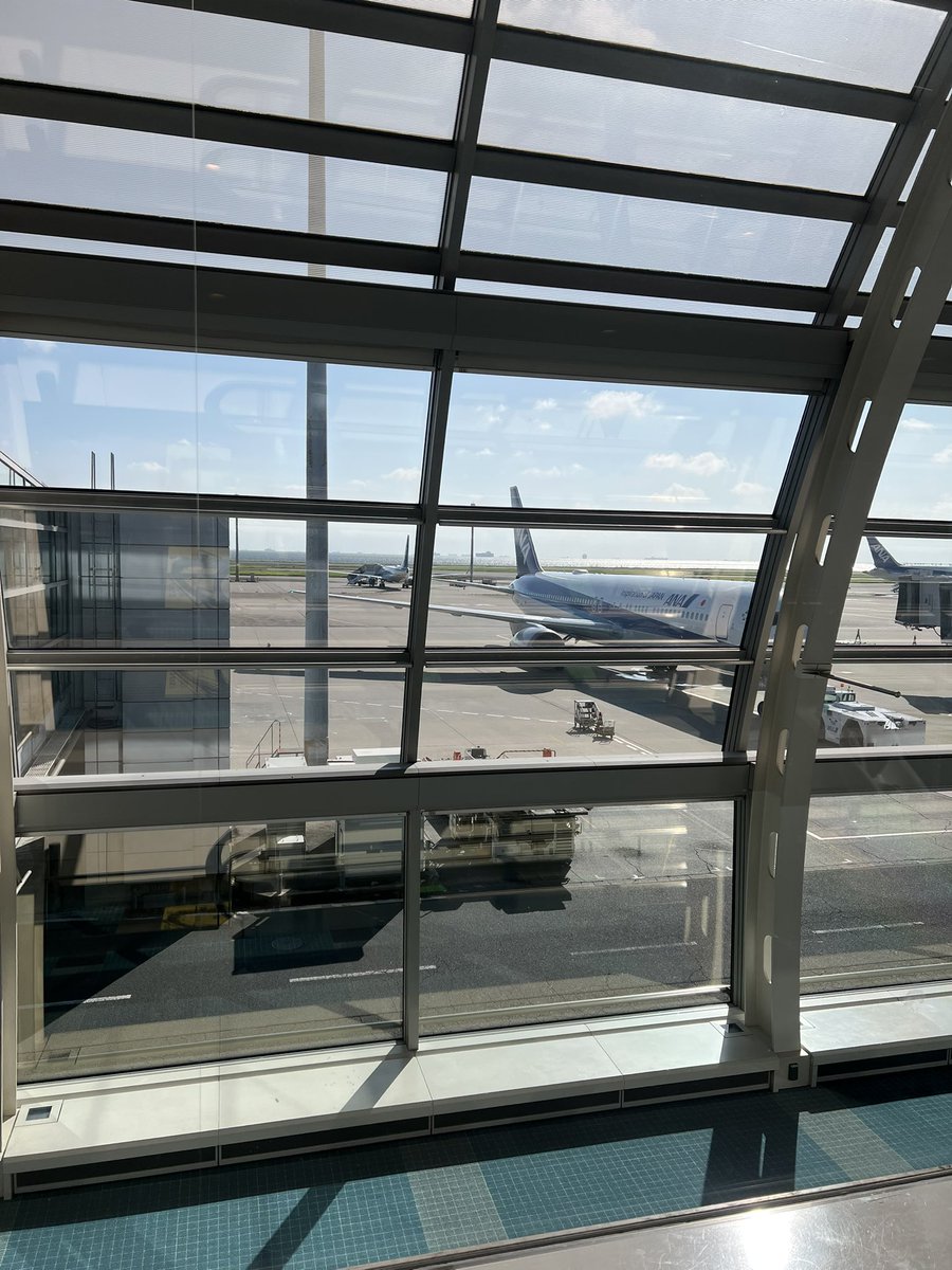 KTgiil3's tweet photo. 南の方へ旅にでます✈️
#旅 https://t.co/pu5MqVCVN3