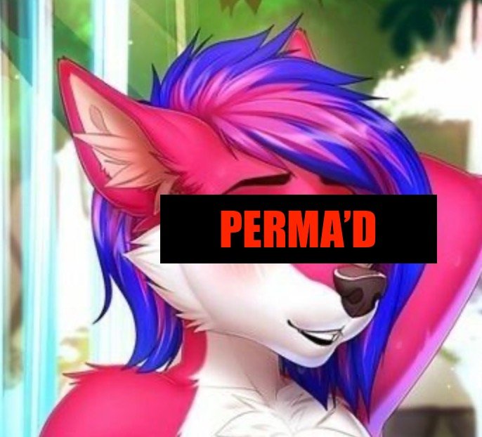 LavanderRose21's tweet photo. I signed my life and account away to @SomewhatO51185, im happy with what I will become his property, nothing else but his churned ballbatter. I'm happy with what I am becoming hope not to be forgotten scine I did volunteer myself for this but its the best day ever. https://t.co/dHfV8QH31v