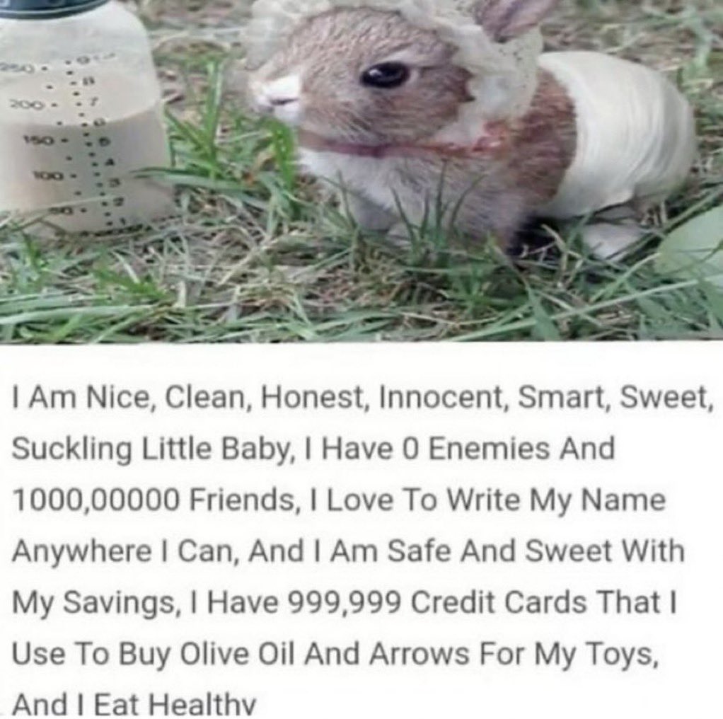 bunnyposting_'s tweet photo. https://t.co/YpKTNTyPjc