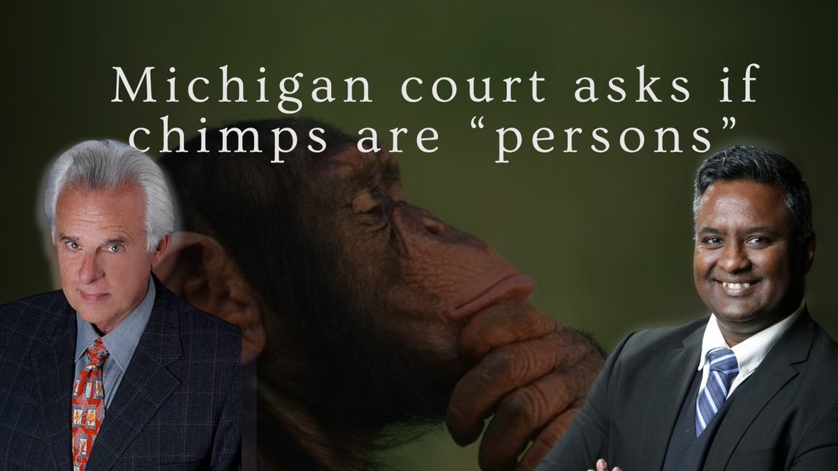 AveAfternoon's tweet photo. There is a growing push to obtain legal personhood for animals like chimpanzees and elephants. And while these cases have failed so far, they seem to be gaining momentum and sympathy within the legal system.

@theWesleyJSmith joined us today: https://t.co/7W1U1hmP3c