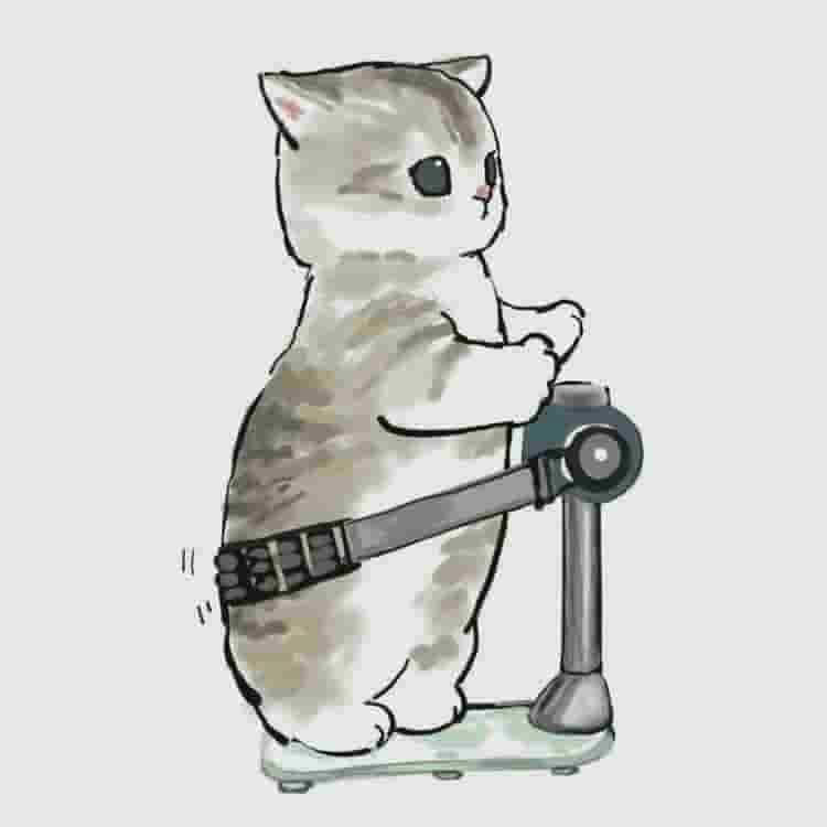 pollard_x's tweet photo. Patience with yourself is the highest form of self-love.   🍁 🌸 🪐 https://t.co/rpTobO6CnO