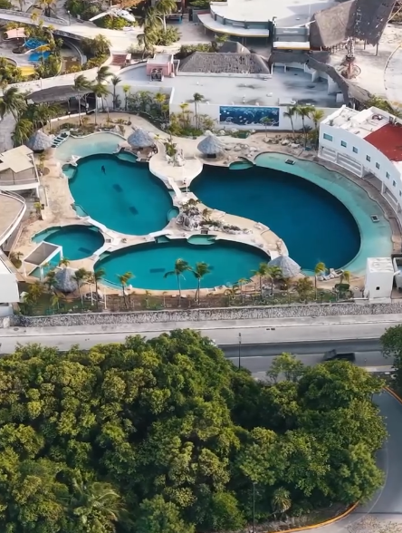 LaFabricaMX_'s tweet photo. 🐬🐬| Nueve delfines siguen en cautiverio, tras clausura de parque acuático

Con una comida al día y con enfermedades crónicas, nueve delfines permanecen "condenados" al encierro, denuncia la organización Veeleaf.
https://t.co/XKw61jzo30 https://t.co/2XTIWrhpPx