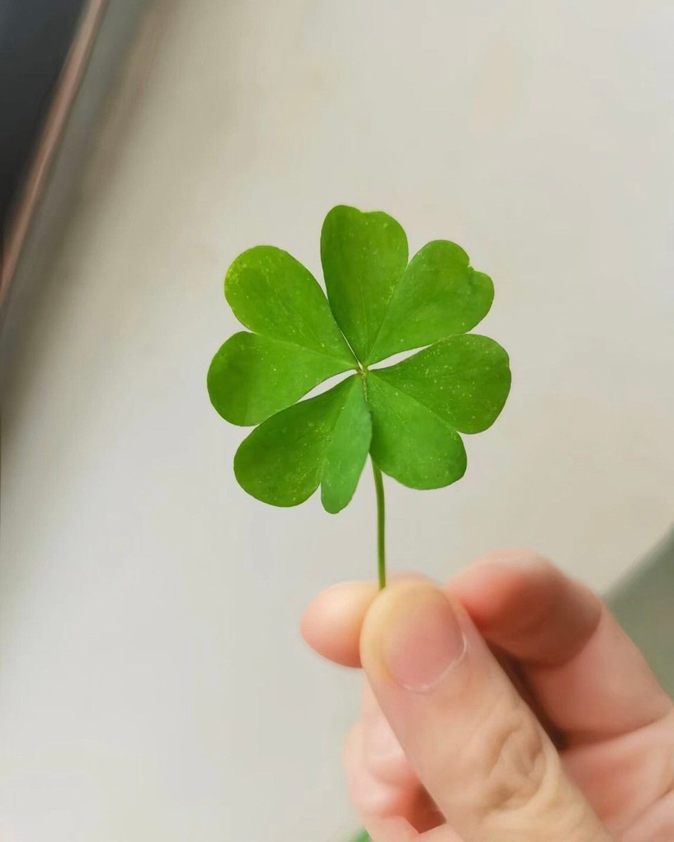 chiyo_mama_'s tweet photo. 当然の大好転✨状況は一変します🍀 https://t.co/W2ztI6ezyA