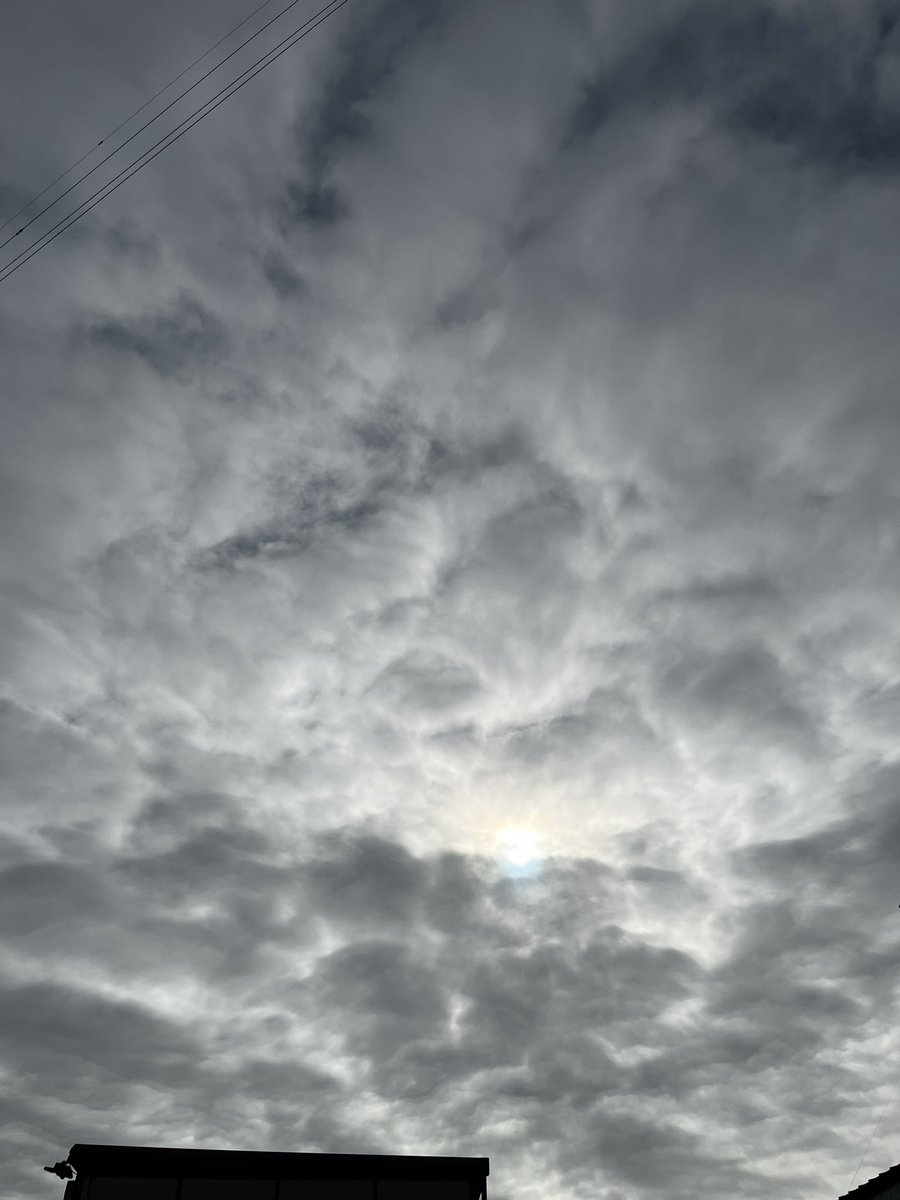 toei_densetsu's tweet photo. おはようございます。
今日の宇都宮は晴れのち曇りです☀️☁️
最高気温は29℃です。
こまめな水分補給を心がけましょう🧋

#毎週水曜日はノー残業デー
#完全週休二日制
#電気工事
#企業公式つぶやき 
#企業公式が地元の天気を言い合う https://t.co/lMtAjZkBQg