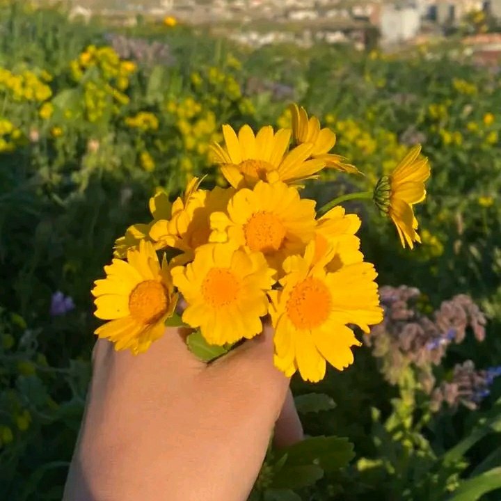dua_a11's tweet photo. #صورة_ملف_شخصي_جديدة https://t.co/vZlZ2yNKgC