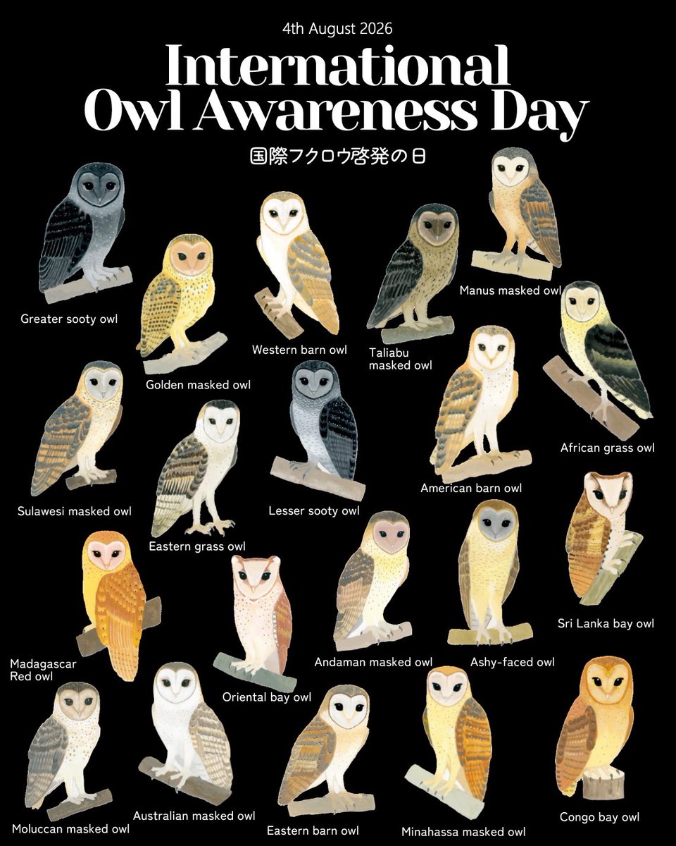 YoriTSUKIKAWA's tweet photo. 8月4日は国際フクロウ啓発の日🦉

4th August
International Owl Awareness Day! https://t.co/CAfH9DB5GJ