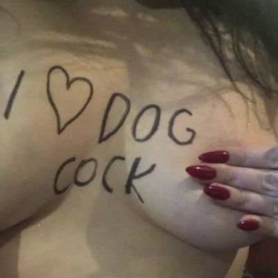 StephKnott2's tweet photo. Hey come check out #zoo, and lots more of #gay as long as you’re a #zoolovers #zoosex #dogknotting.
#dogknotting #us
Click the link and dm for fun 🥵🍕
https://t.co/qVqT0j0mmt https://t.co/QpFJByJKRq