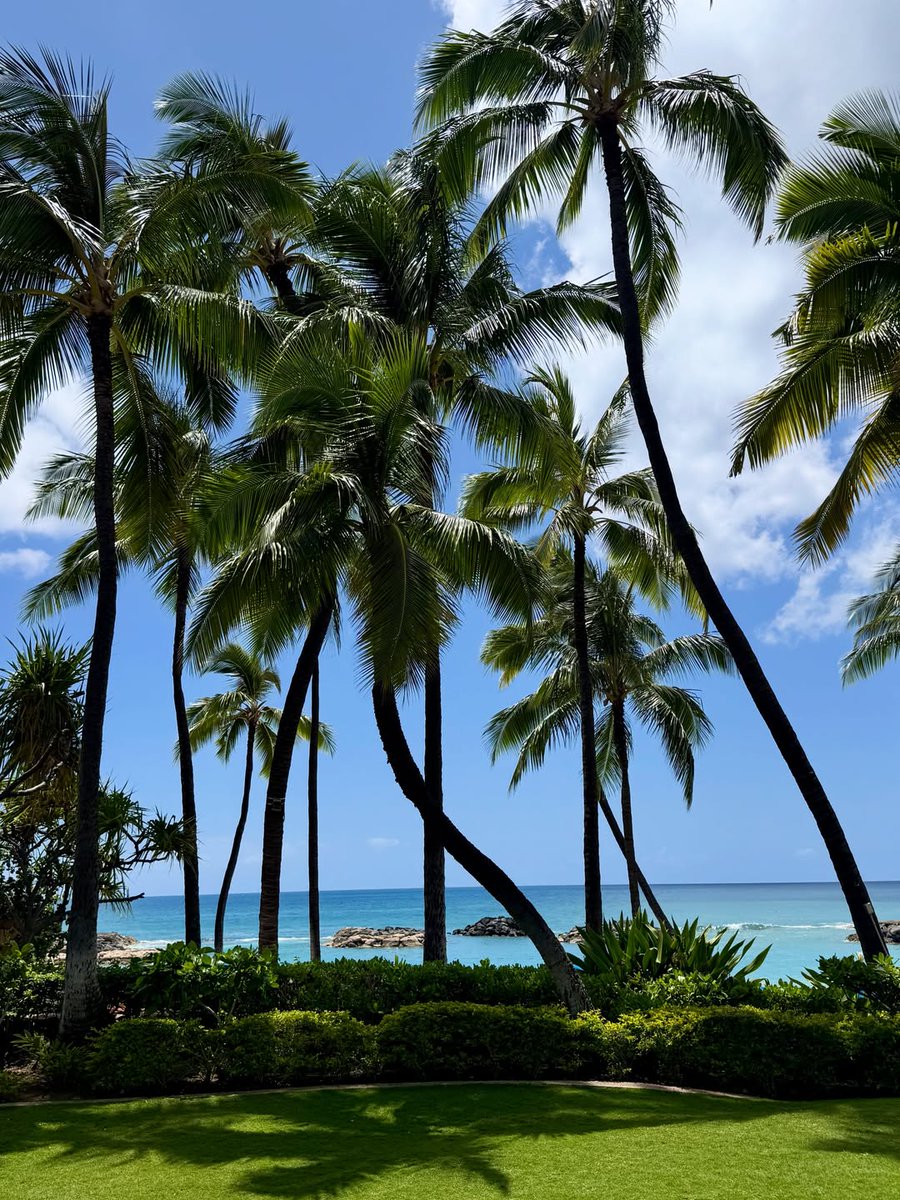 KoOlinaResort's tweet photo. OUR #placeofjoy, through your eyes 😍
pc: natalia.dzyndra and blue.jay.lane https://t.co/iyg6rHO18c