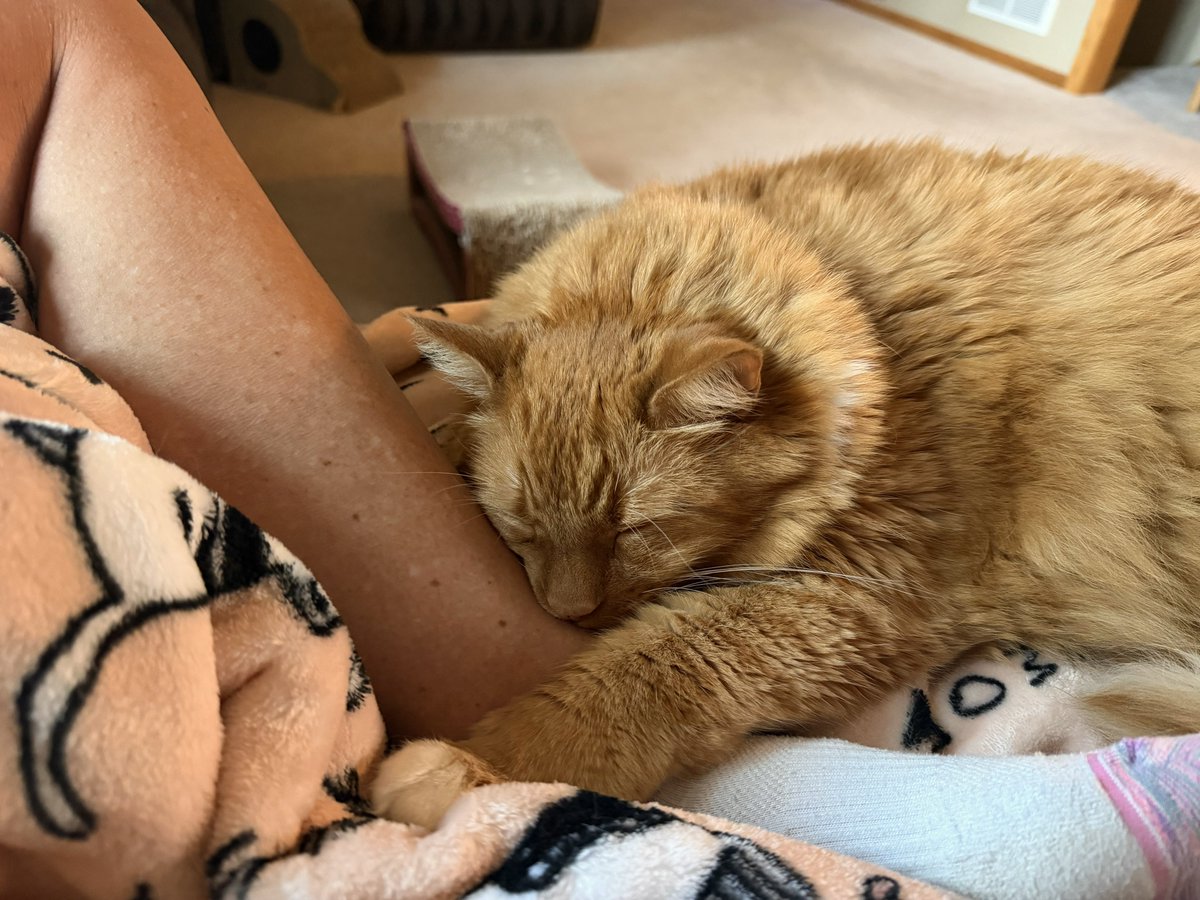 ItsMeDeaner's tweet photo. I’m getting an ankle cuddle, fur on skin https://t.co/1vOFIHkcPW