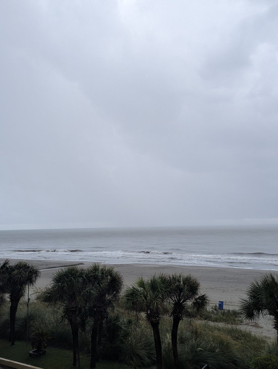 AshleyDavis32's tweet photo. I said I was going to take a break from this app, and now is that time.

I'll be here all week instead✌️ https://t.co/xXvJdlDBxe